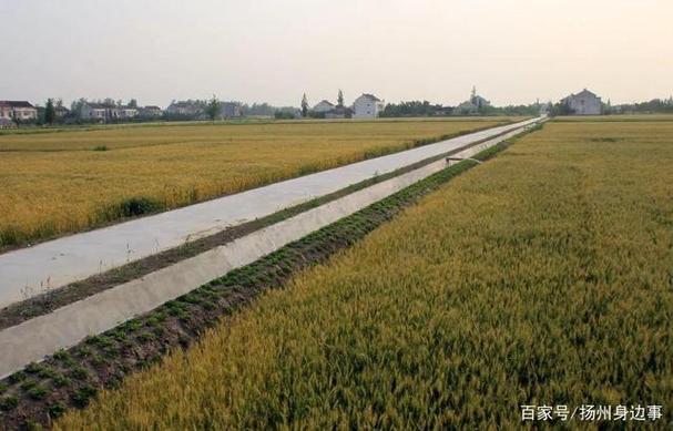 开展水效领跑者引领行动,实施工业节水灌溉工程,提高非常规水源利用率